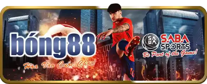 Khuyến mãi bongvip mới nhất dành cho thành viên